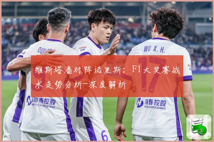 维斯塔潘对阵诺里斯：F1大奖赛战术走势分析-深度解析