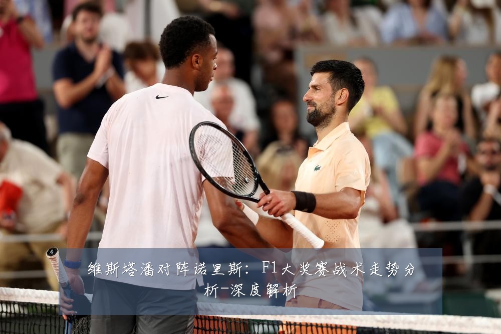 维斯塔潘对阵诺里斯:F1大奖赛战术走势分析-深度解析