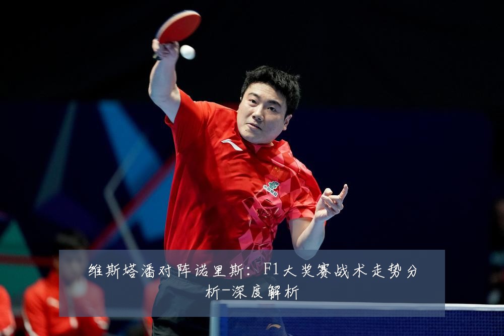 维斯塔潘对阵诺里斯:F1大奖赛战术走势分析-深度解析